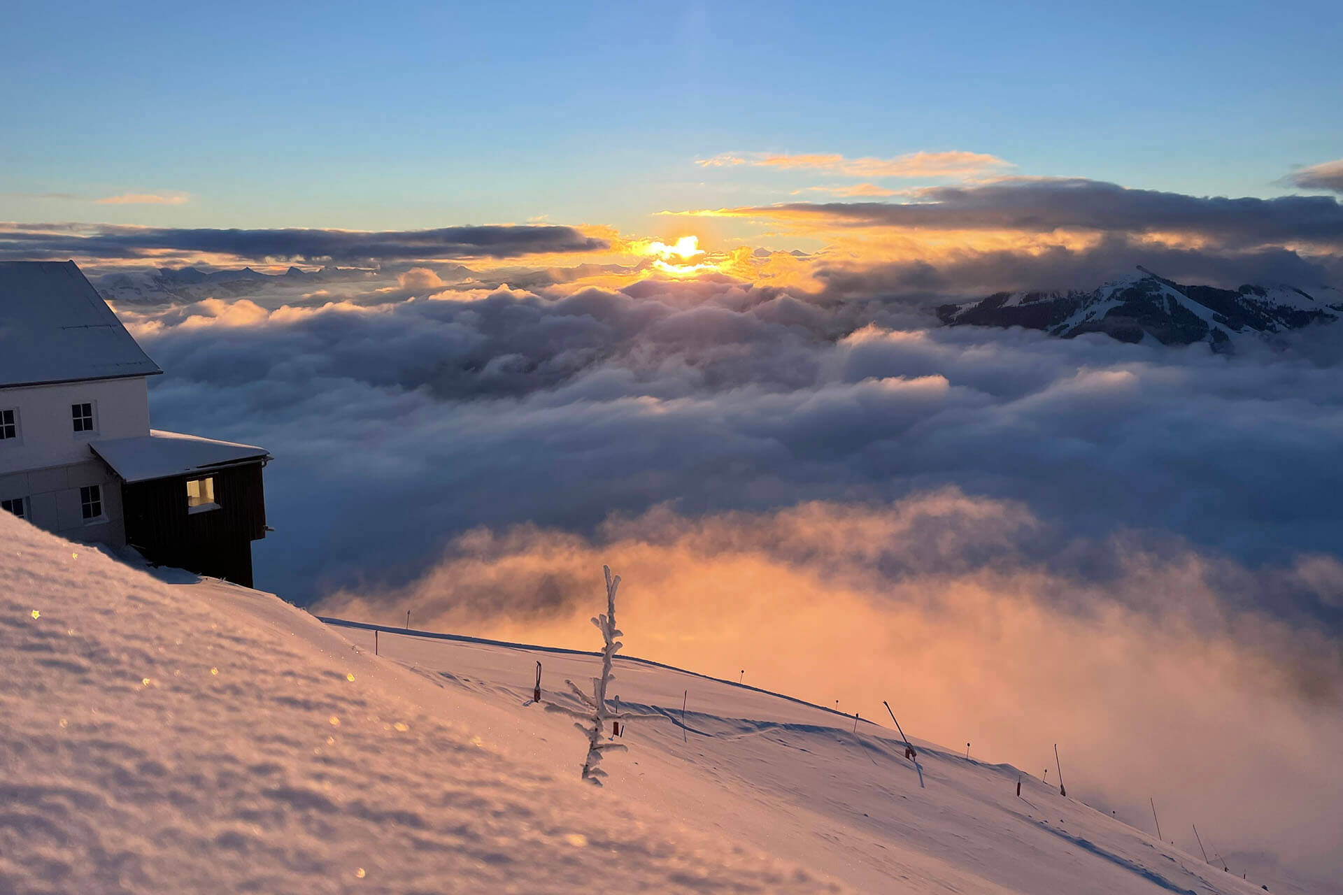 Gipfelalm Hohe Salve