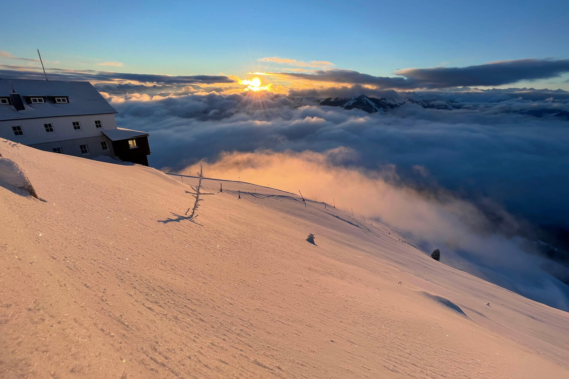 Gipfelalm Hohe Salve