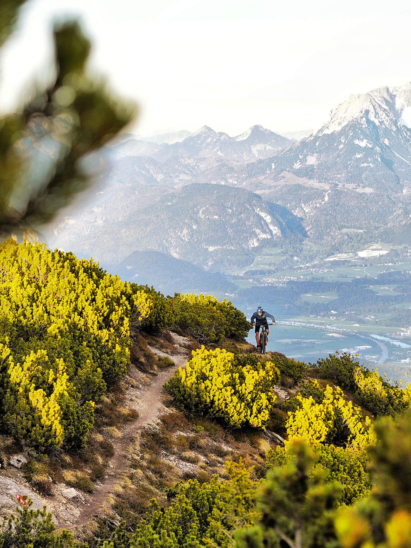 Gipelalm Hohe Salve Sommer