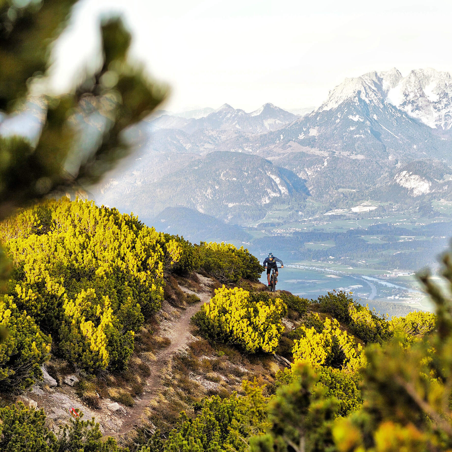 Gipelalm Hohe Salve Sommer