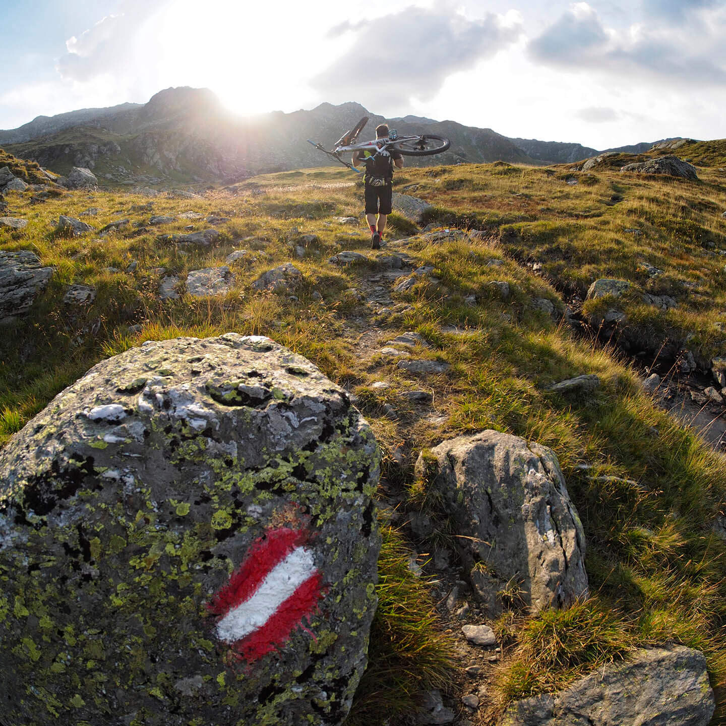 Gipelalm Hohe Salve Sommer