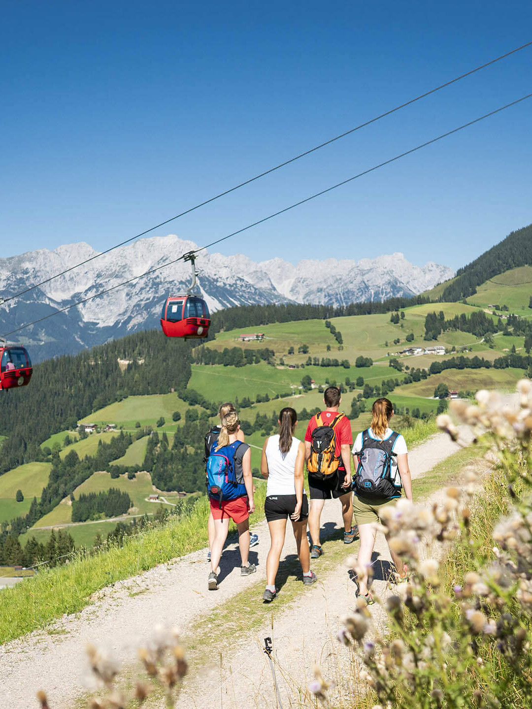Gipelalm Hohe Salve Sommer