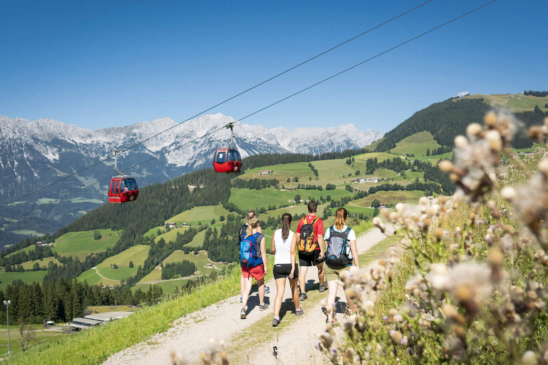 Gipelalm Hohe Salve Sommer