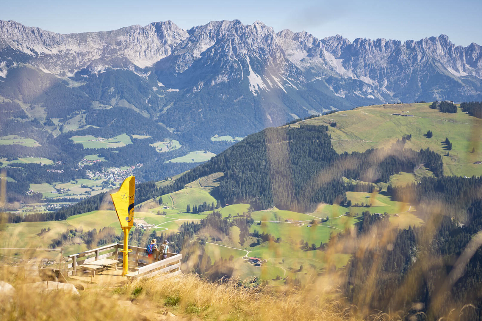Gipelalm Hohe Salve Sommer