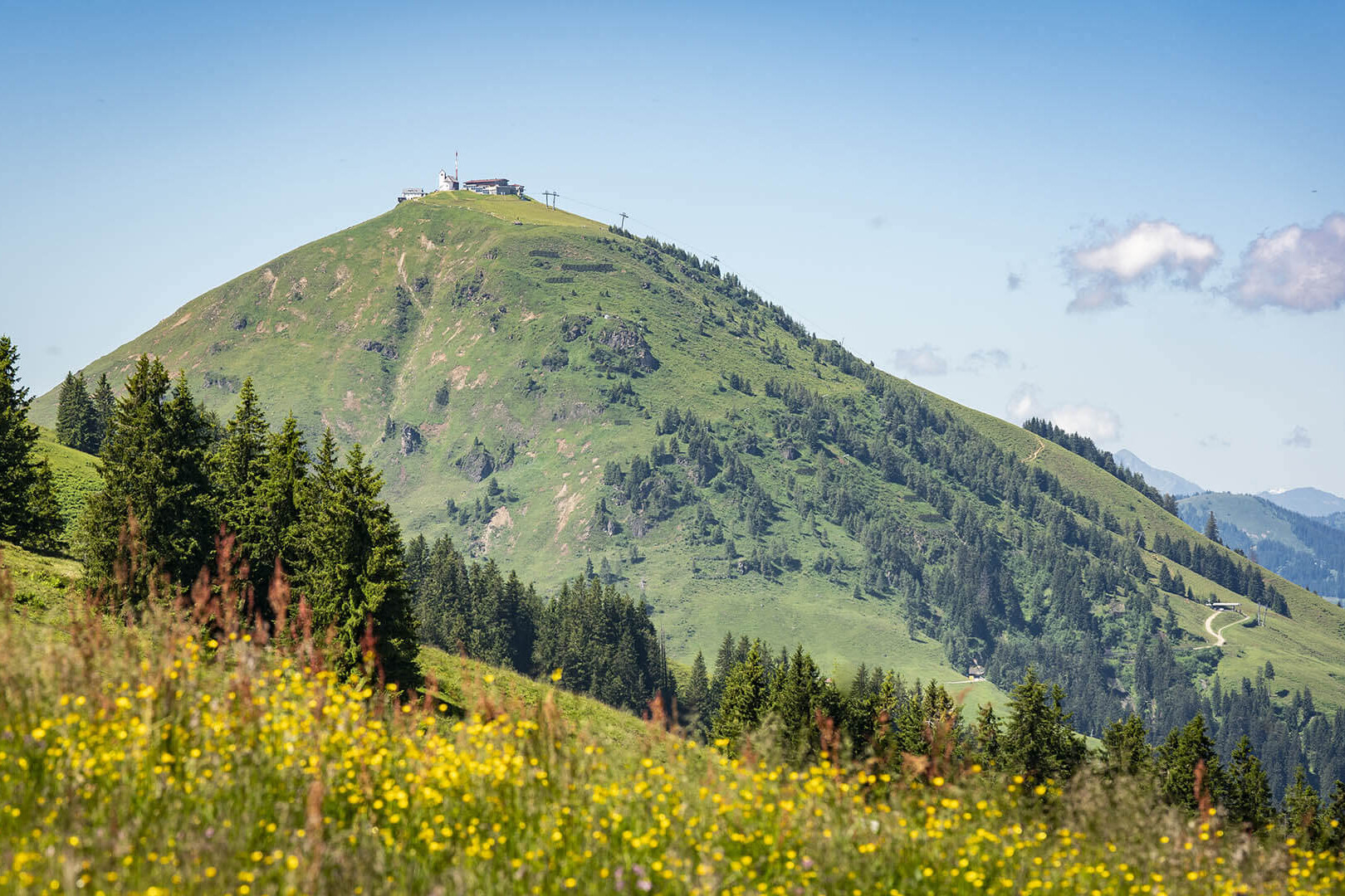 Gipelalm Hohe Salve Sommer