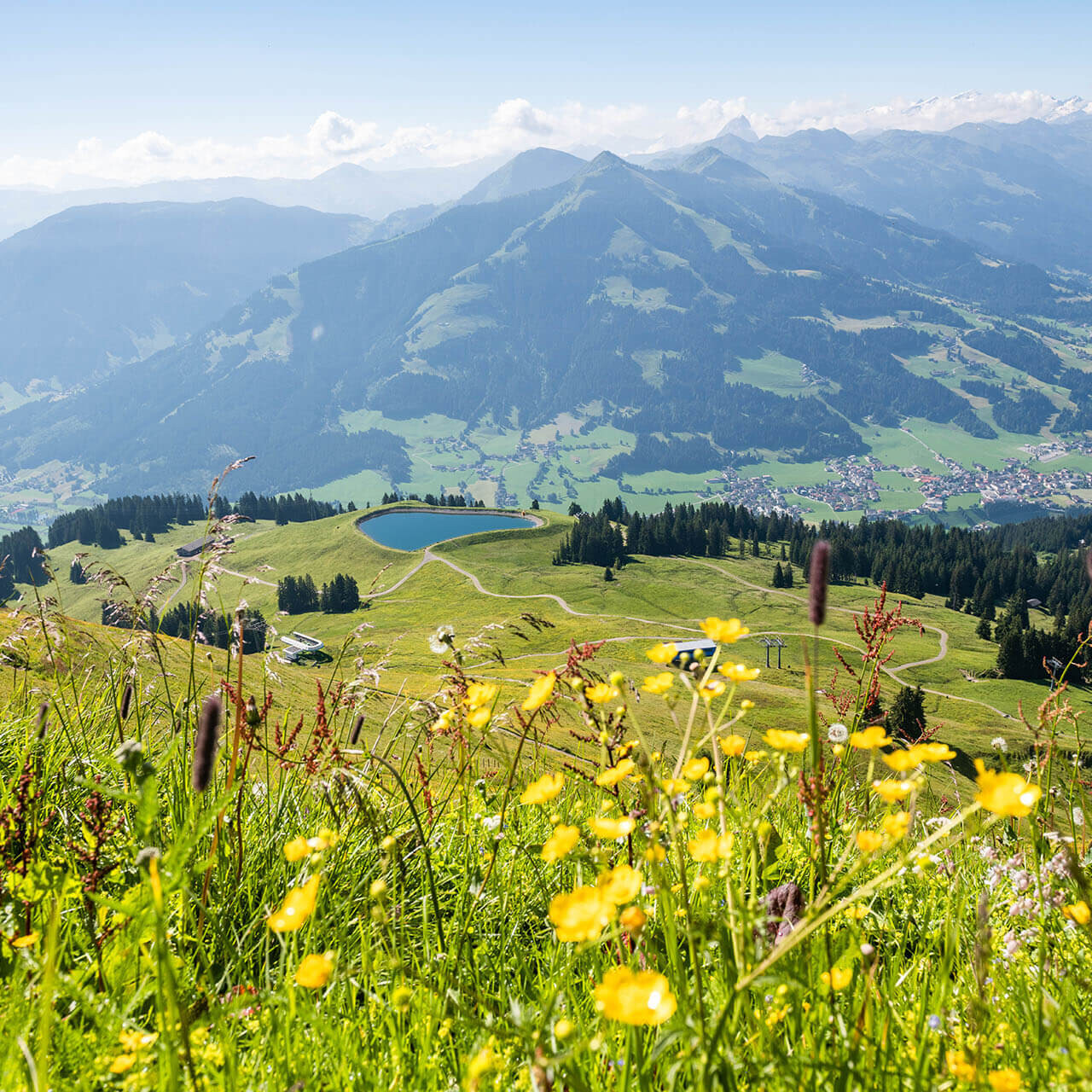 Gipelalm Hohe Salve Sommer